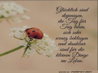 Glcklich sind diejenigen