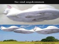 Sie sind angekommen