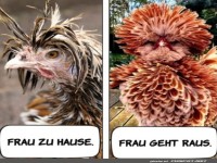 Daheim und auswärts