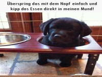 �berspringen wir den Napf