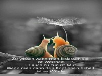 Weisheit und Wrde in der Natur