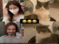 Lustige Katzen- und Menschenreaktionen