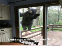 B�r klopft an Terrassent�r