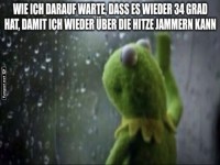Kermit und das Wetter-Dilemma