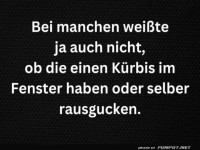 Krbis oder Gesicht? Die groe Fensterfrage!