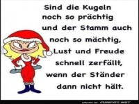 Weihnachtsb�ume und ihre wahren Probleme!