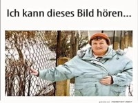 Wintermode: Wenn der Zaun ruft