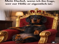 mein dackel