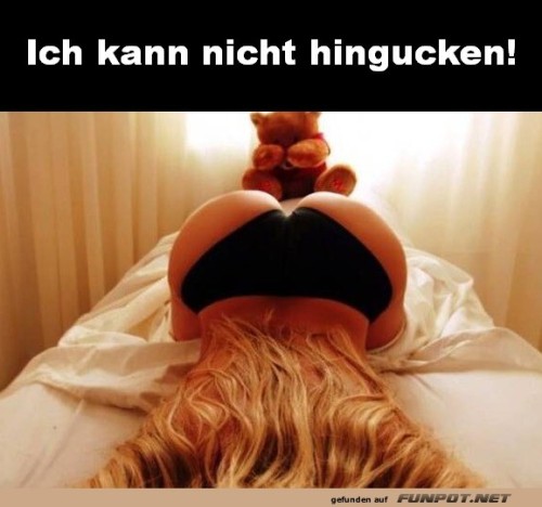ich-kann-nicht-hingucken.jpg auf www.funpot.net
