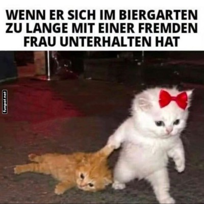 Wenn-Blicke-Krallen-hätten!.jpg von Tobias-1995