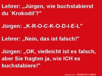 Klugschei�er