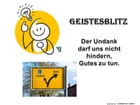 Nr. 22 Geistesblitz