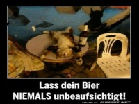 Kater-Pause: Wenn das Bier zurückschlägt!