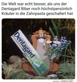 Wenn-der-Biber-zum-Zahnarzt-wird.jpg auf www.funpot.net