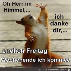 Oh-Herr-im-Himmel.jpg auf www.funpot.net