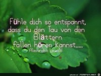 Fuehle dich so entspannt