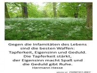 Die besten Waffen