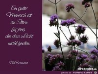 Ein guter Mensch ist...