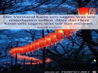 der Verstand kann uns sagen