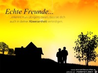 echte-freunde-erkennt-man-uebrigens-daran-dass-sie-