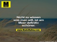 Nicht zu wissen was man will, ist...
