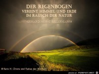 Der Regenbogen