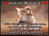 Will dich nur kurz fragen