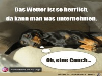 Das Wetter ist so herrlich
