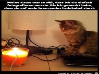 Meine Katze war so suess