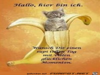 Ich wnsche dir einen tollen Tag