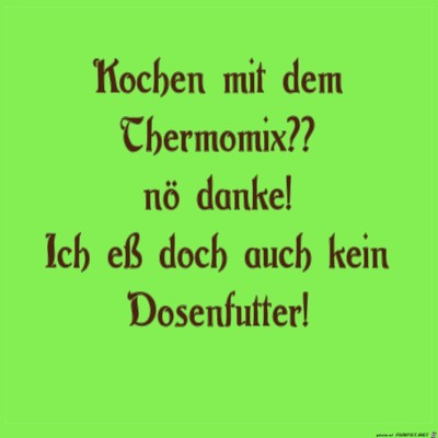 thermomx.jpg von kuddel56
