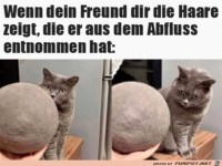 Haare aus dem Abluss
