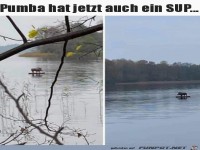 SUP fürs Wildschwein