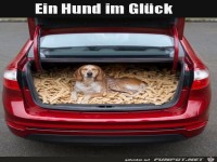 Da ist einer im Gl�ck
