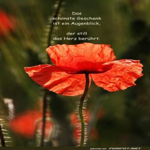 herz-Bild: Das schönste Geschenk ist ein Augenblick