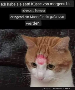Sie-braucht-einen-Mann.jpg auf www.funpot.net