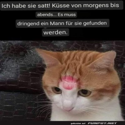 Sie-braucht-einen-Mann.jpg von Mathis-44