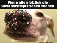 Alles suchen nach den Plätzchen