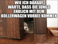 Igel wartet auf den Bollerwagen