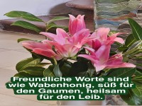 freundliche worte sind