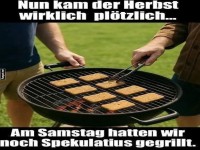 Grillparty im Herbst-Neumodus