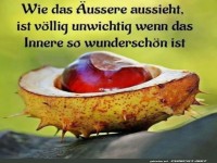 Die Kastanienweisheit
