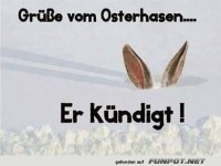 Der Osterhase