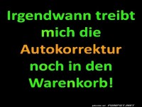 Autokorrektur vs. Einkaufswagen Chaos!