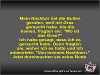 Mein Nachbar hat die Bullen gerufen