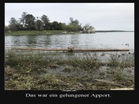 Schwimmender Logistikprofi am Werk!