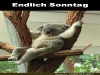 weiter