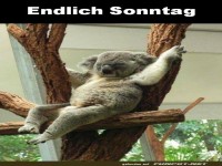 Endliche Sonntag