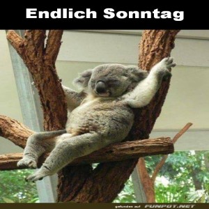Endliche-Sonntag.jpg von Queen92