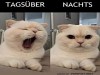 weiter
